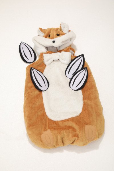 赤ちゃんレンタル衣装画像